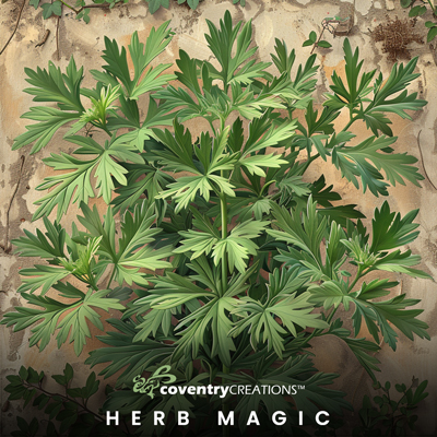 July2024 HerbMagic 400