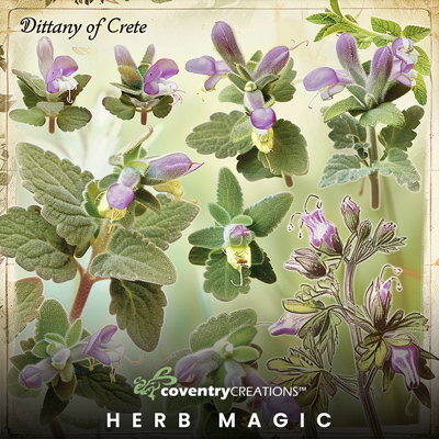 May2024 HerbMagic